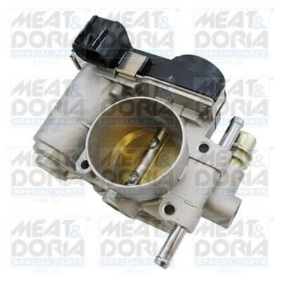 Throttle Body